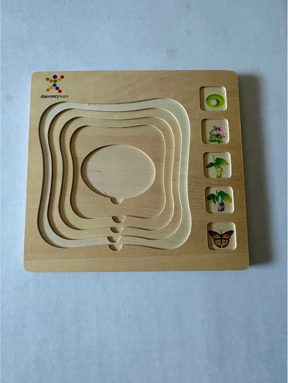 Life cycle of a butterfly puzzle